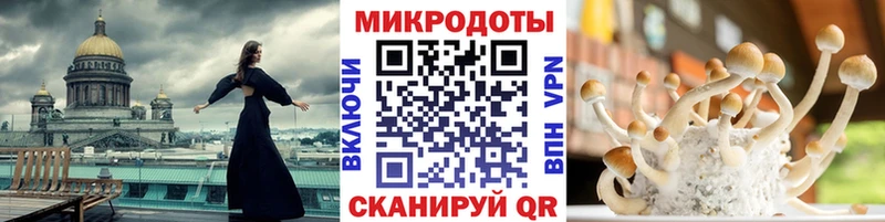 Псилоцибиновые грибы GOLDEN TEACHER  сколько стоит  Багратионовск 